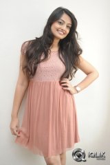 Nikitha Narayan at Ladies and Gentlemen Movie Song Launch